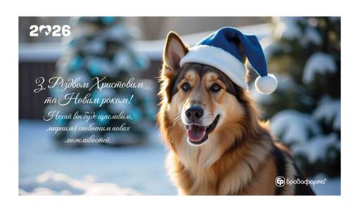 З РІЗДВОМ ХРИСТОВИМ ТА НОВИМ РОКОМ!