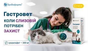 ГАСТРОВЕТ — НОВИЙ ПРЕПАРАТ ДЛЯ ЗАХИСТУ СЛИЗОВОЇ У СОБАК І КОТІВ 