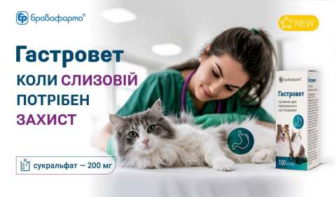 gastrovet