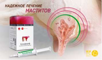 Сульфацеф — надежное лечение маститов