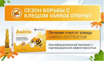 Амипин-лечение пчел от клеща varroa destructor