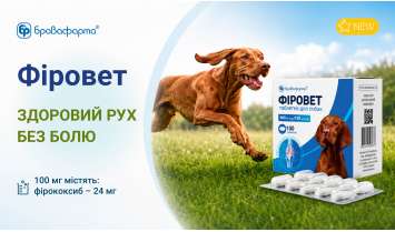 ФІРОВЕТ — НОВИНКА ВІД БРОВАФАРМА ВЖЕ В ІНТЕРНЕТ-МАГАЗИНІ!