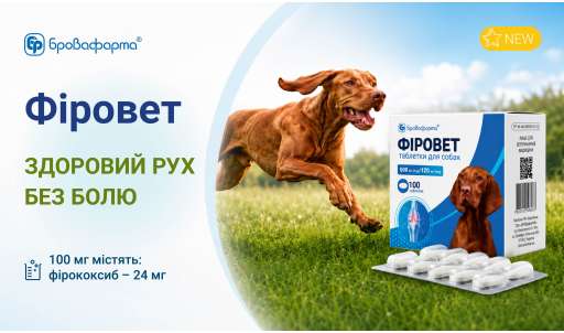 ФІРОВЕТ — НОВИНКА ВІД БРОВАФАРМА ВЖЕ В ІНТЕРНЕТ-МАГАЗИНІ!
