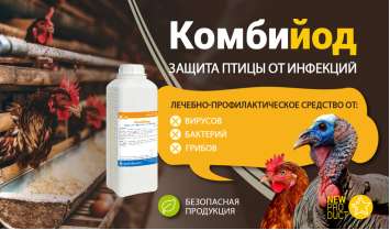 Комбийод — защита птицы от инфекций
