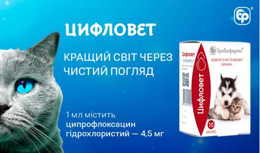 ЦИФЛОВЕТ ЛЕГКО ДОЛАЄ ІНФЕКЦІЇ ОЧЕЙ ТА ВУХ 