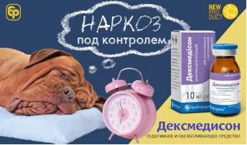 Дексмедисон — новый препарат для седации и наркоза.