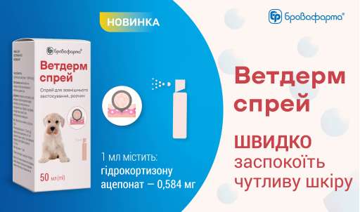 Ветдерм спрей — ефективне рішення для захисту шкіри собак