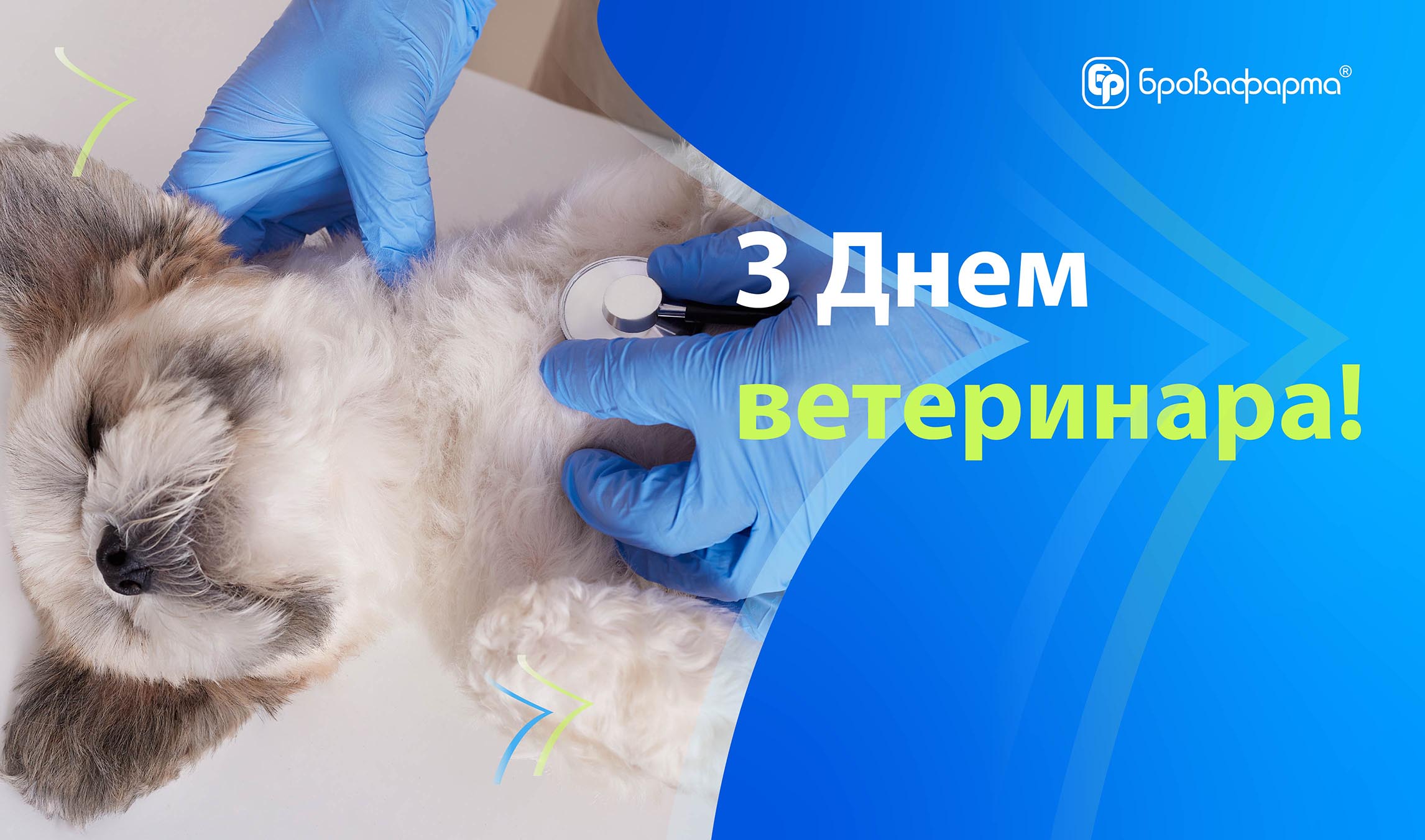 З Днем працівників ветеринарної медицини!