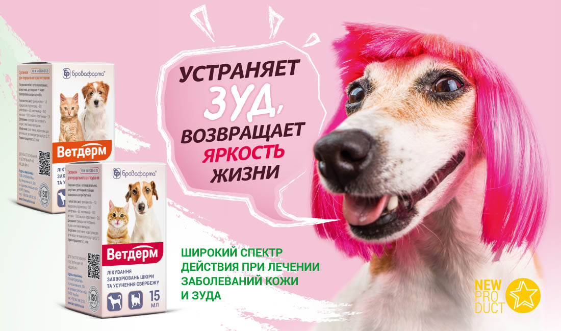 Ветдерм — здоровая кожа без зуда