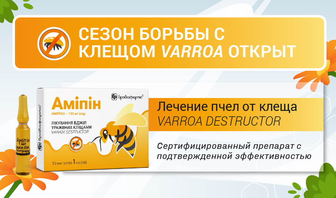 Амипин-лечение пчел от клеща varroa destructor