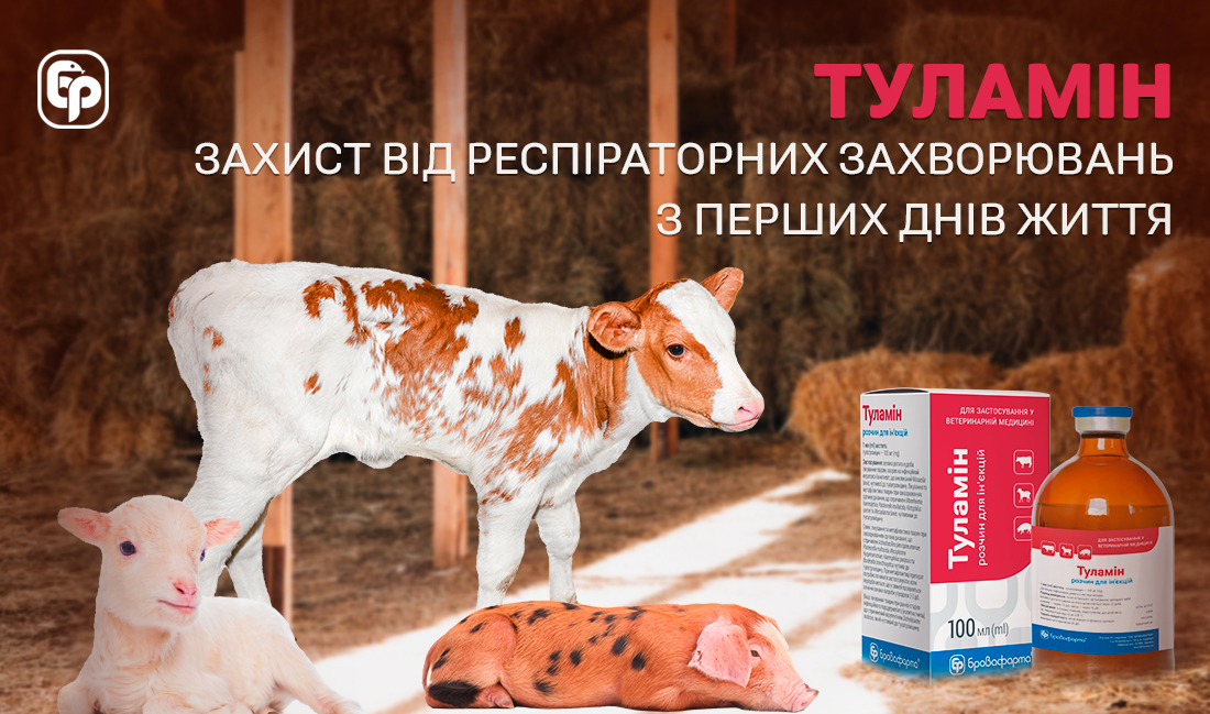 Туламин — полусинтетический антибиотик группы макролидов с пролонгированным действием